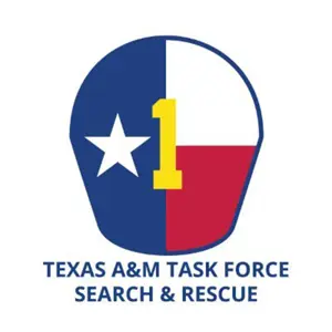 Task Force Logo